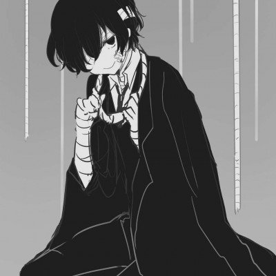 公司倒闭5只猫被法拍